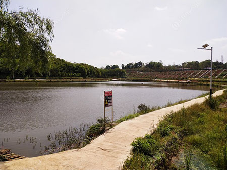 益阳湖南金帆生态农场
