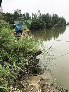 阳江潭水河
