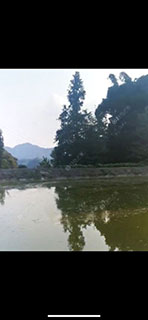 雅安满堂鱼垂钓基地