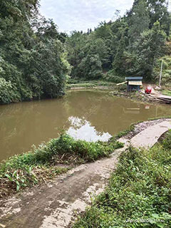 雅安苟家山休闲塘