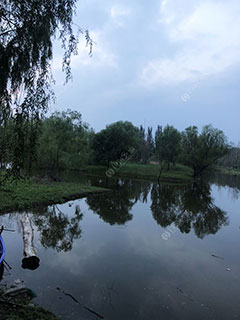 张家口京西草原太师庄钓场