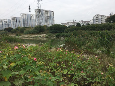 镇江运粮河
