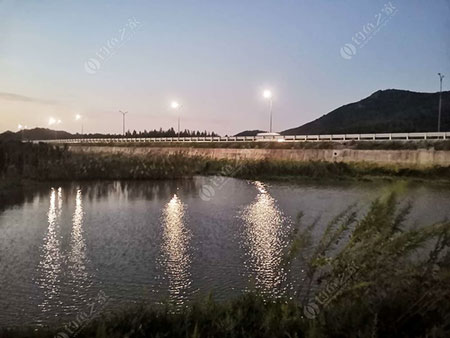 舟山泥峙村公园附近小野塘