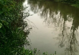 舟山竹排河