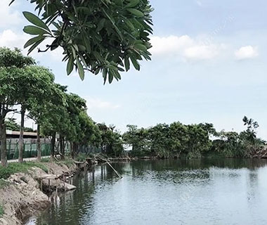 漳州陈燕钓场