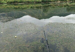 淄博拦河坝支脉河