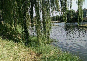 淄博黄家村大坝