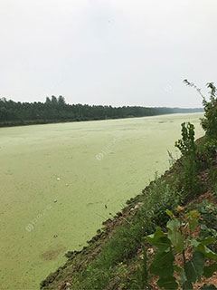 枣庄燕井大桥钓场
