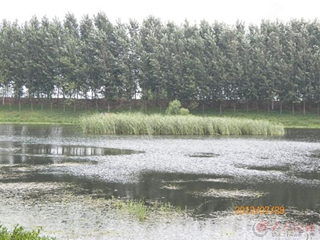 枣庄大鲍庄水库