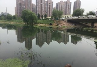 郑州七里河