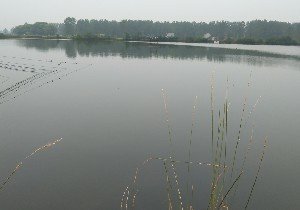 周口花青休闲垂钓中心