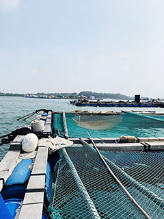 湛江星仔海钓场