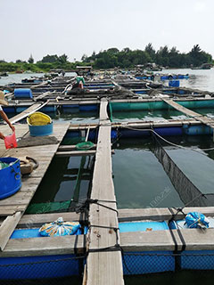 湛江志明鱼排海钓场