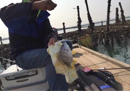 湛江塘尾村钓场