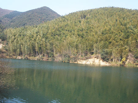 湛江放车岭水库