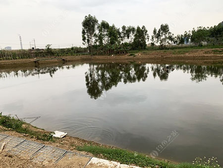 肇庆上塘休闲钓鱼场