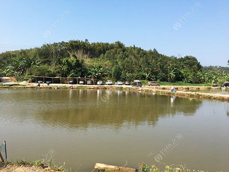 肇庆新同悦钓鱼场