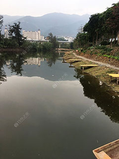 肇庆石牌钓鱼场