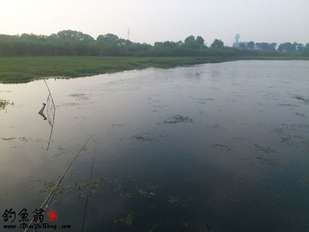 肇庆党山水库