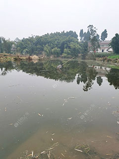 资阳黄家桥友谊水库