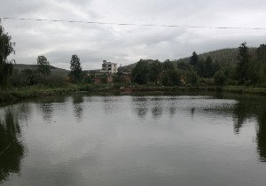 昭通孔令奎家鱼塘