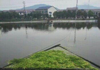 长沙高桥镇沙坡塘