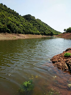 常德三里溪水库桃花岛