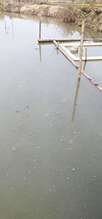 郴州休闲钓鱼场