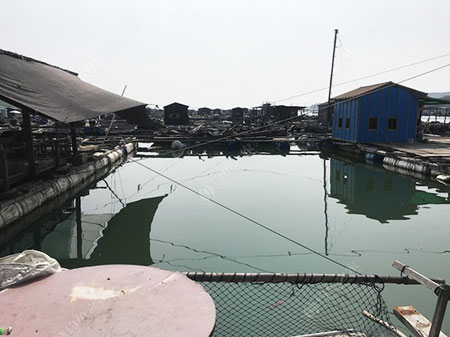 潮州海宏钓场