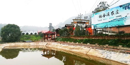 重庆流水岩鱼庄