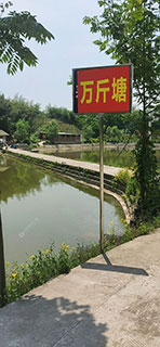 重庆御龙湾万斤塘垂钓园