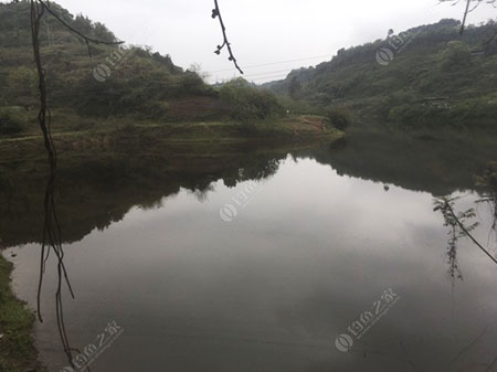 重庆肖家沟水库