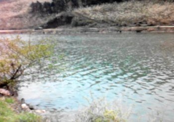 鞍山苇子沟水库