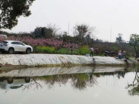 成都唐氏农场