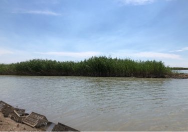 昌吉六运水库
