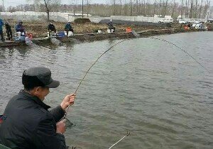 昌吉孙家庄鱼塘