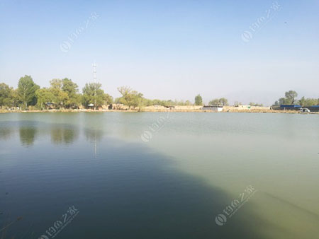 大同西水地钓场