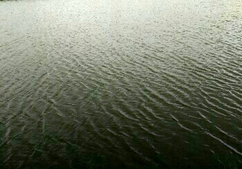 东营仁仪水库