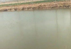 德州孙耿林场垂钓园