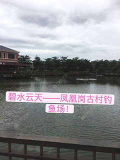 东莞塘厦凤凰岗古村钓鱼场