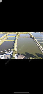 东莞海涛农家乐钓鱼场