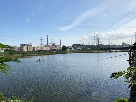 东莞粤顺钓场