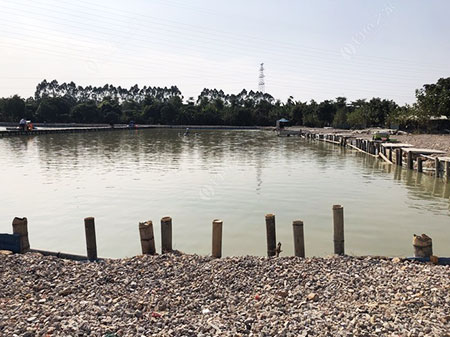 东莞横沥田缘农场垂钓园