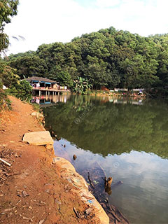 东莞BB钓鱼场