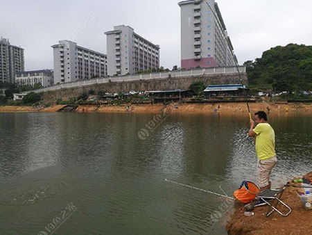 东莞白庙水库钓点