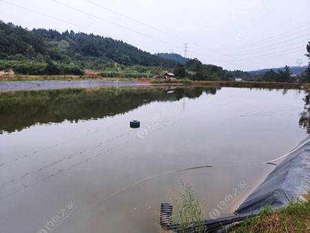 德阳洪家湾家庭农场