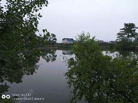 德阳艾家坝生态鱼钓场