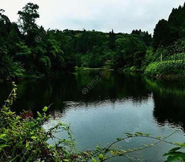 达州黄家水库野钓基地