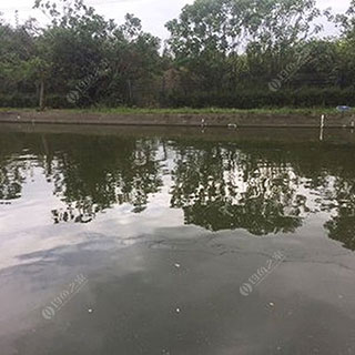 鄂州云景开心农庄