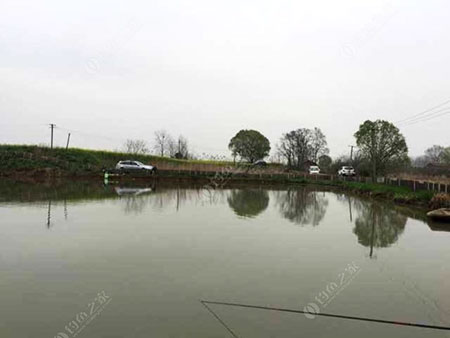 鄂州车弯钓场